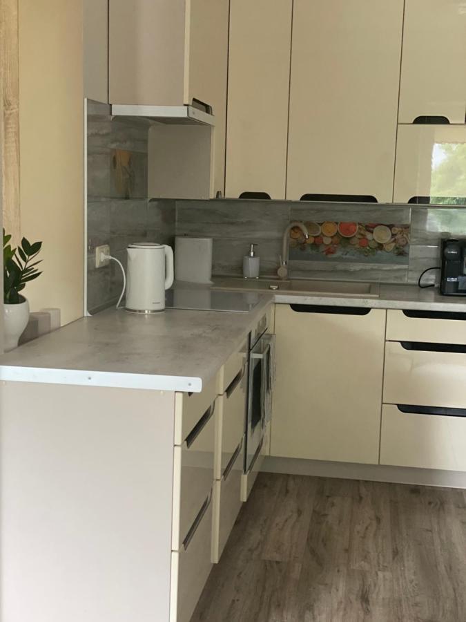 V15 Apartment ドルスキニンカイ エクステリア 写真