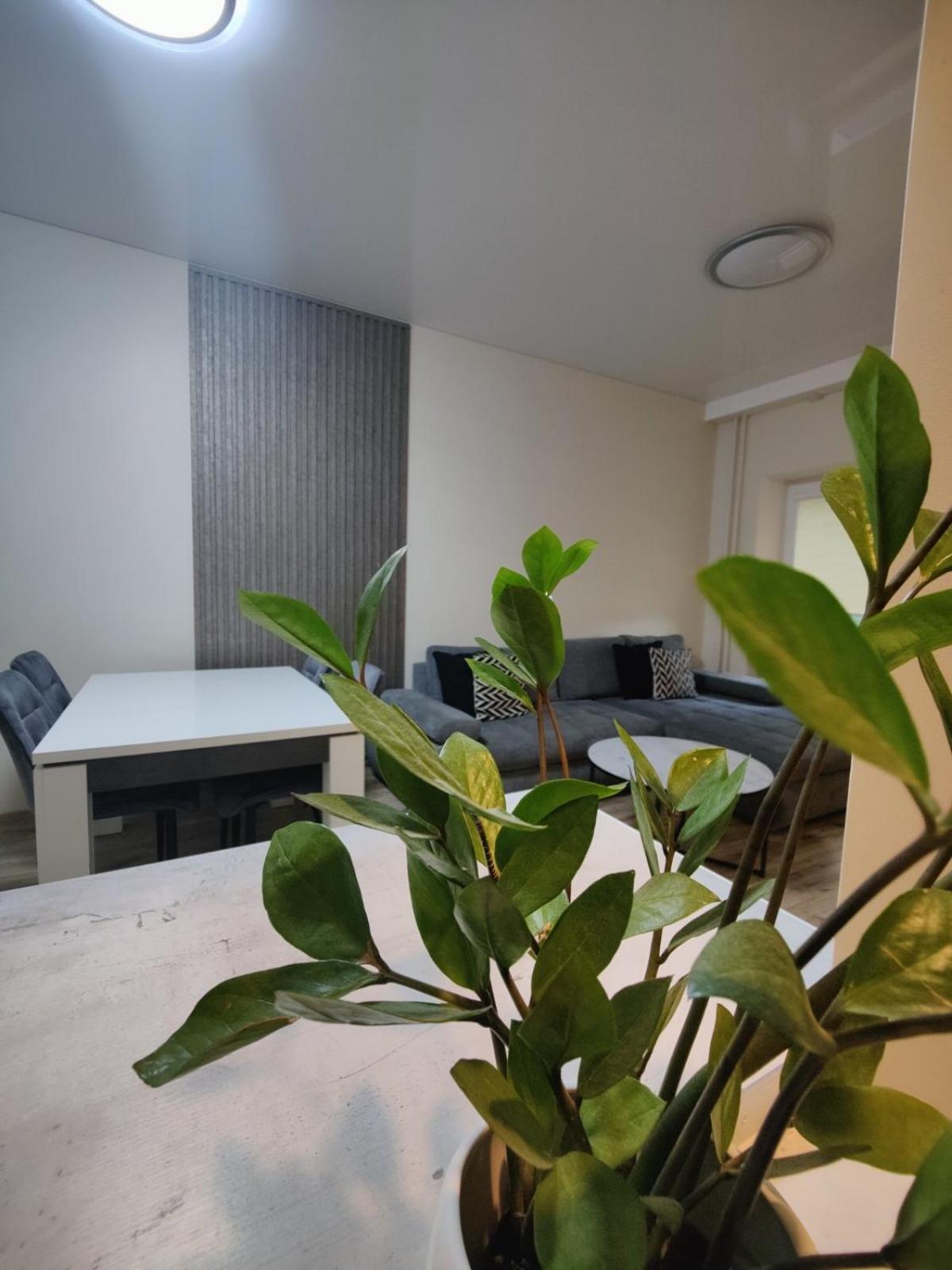 V15 Apartment ドルスキニンカイ エクステリア 写真